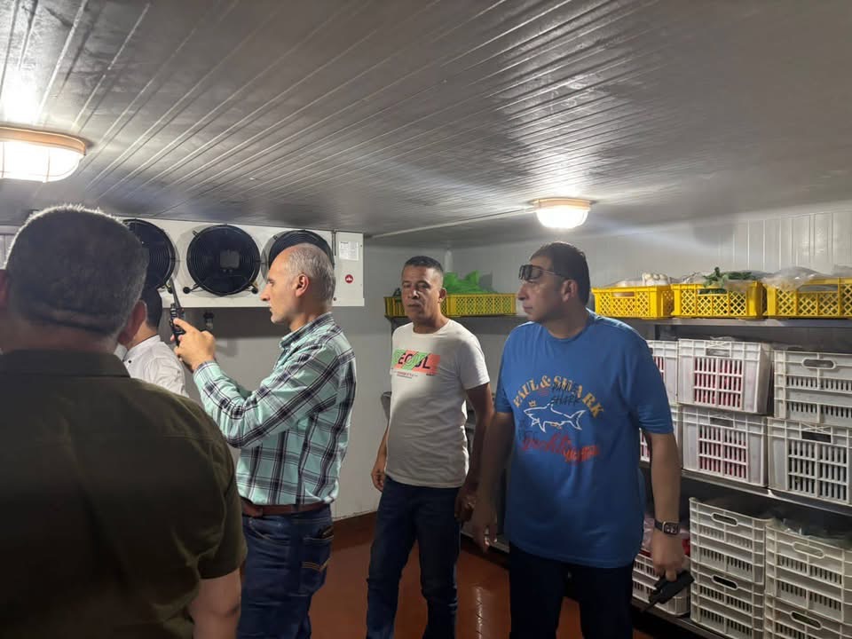 05A0DE03-ECD7-448E-9D66-9ABD69606008