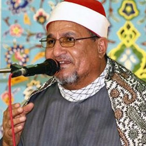 الشيخ محمد عبدالوهاب الطنطاوي