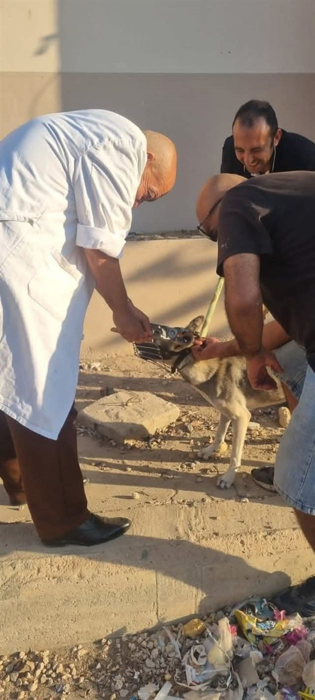 FB_IMG_1753695096080