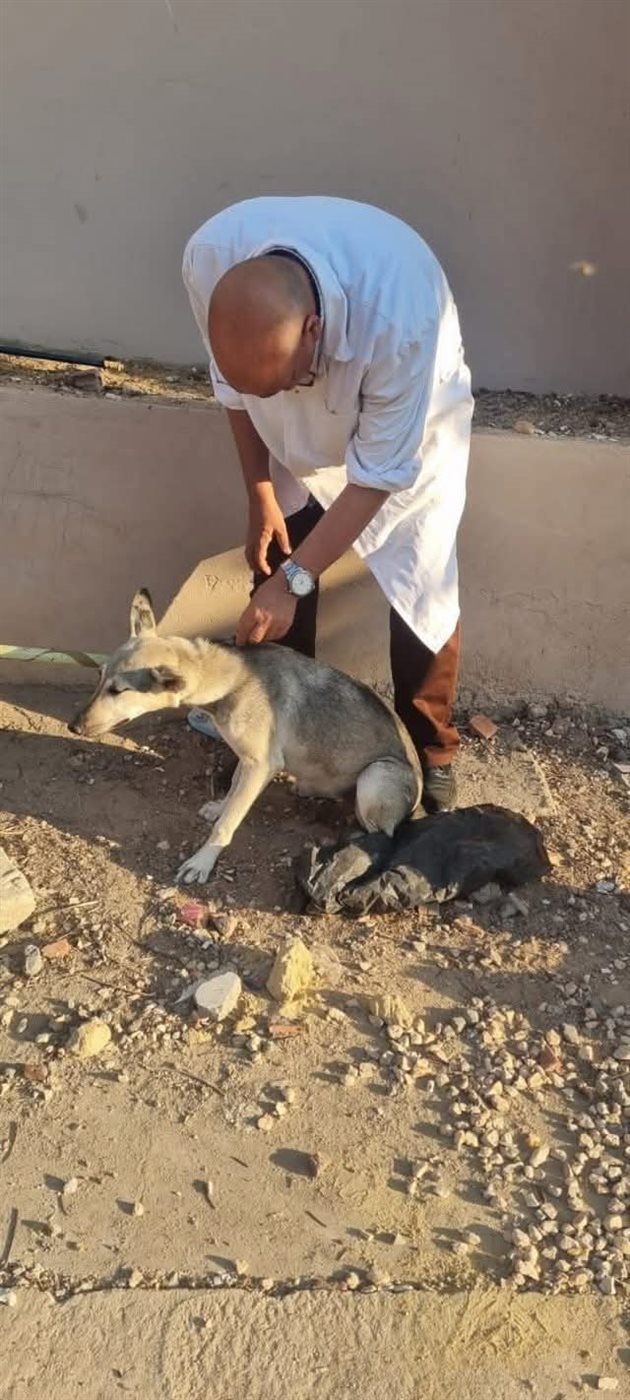 FB_IMG_1753695083624