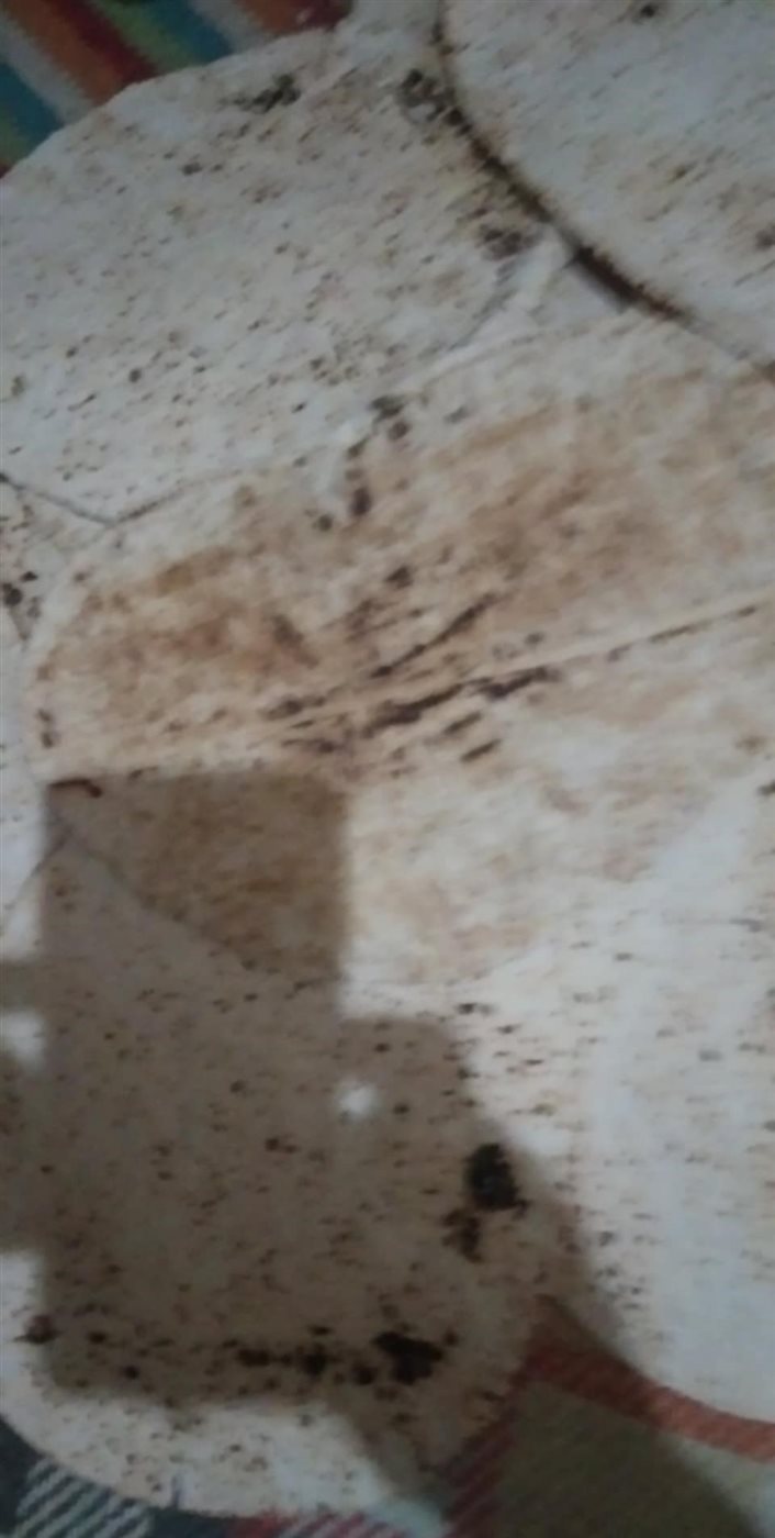 خبز تم انتاجه في أحد مخابز قرى الدقهلية