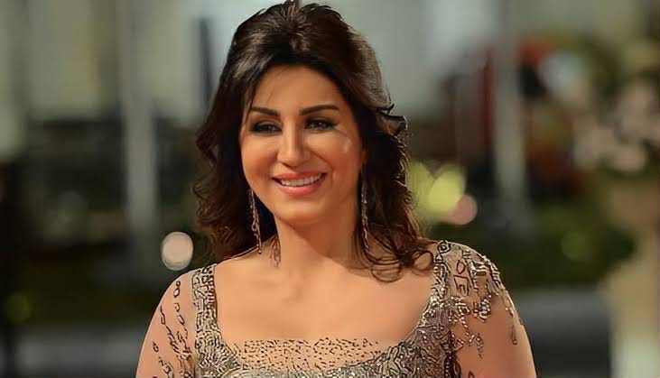 الفنانة وفاء عامر