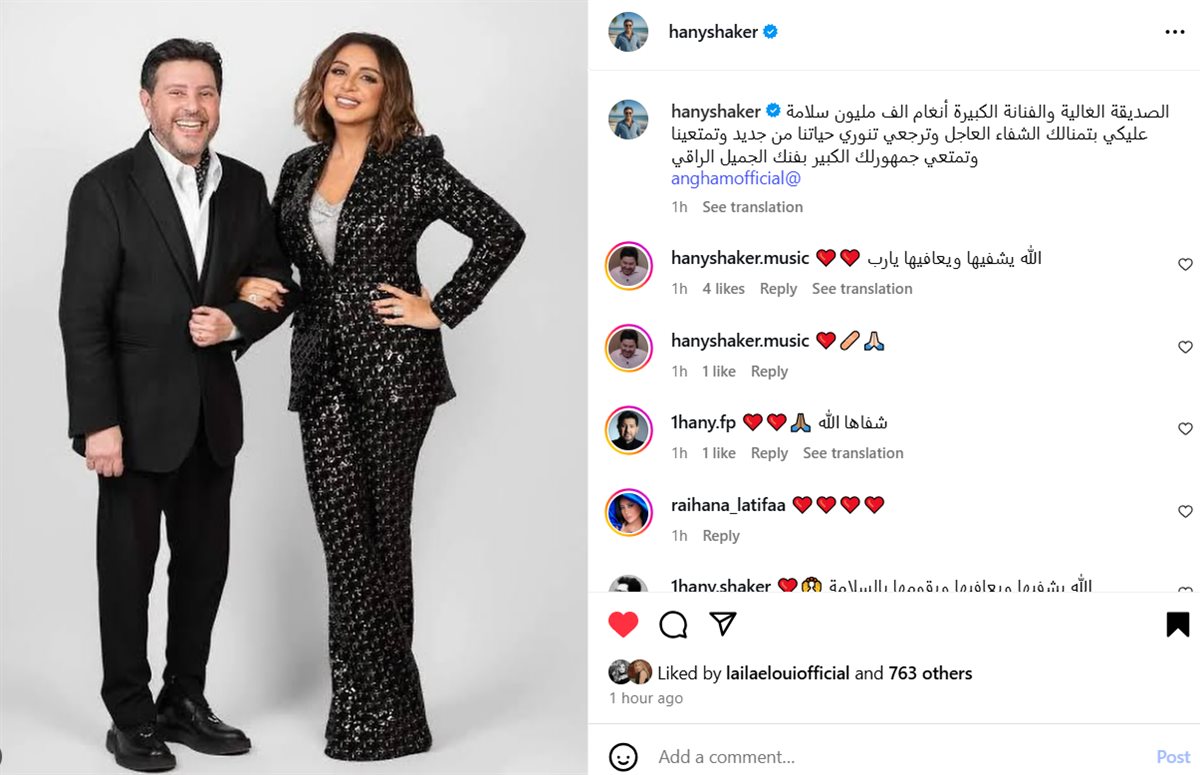 هاني شاكر وأنغام