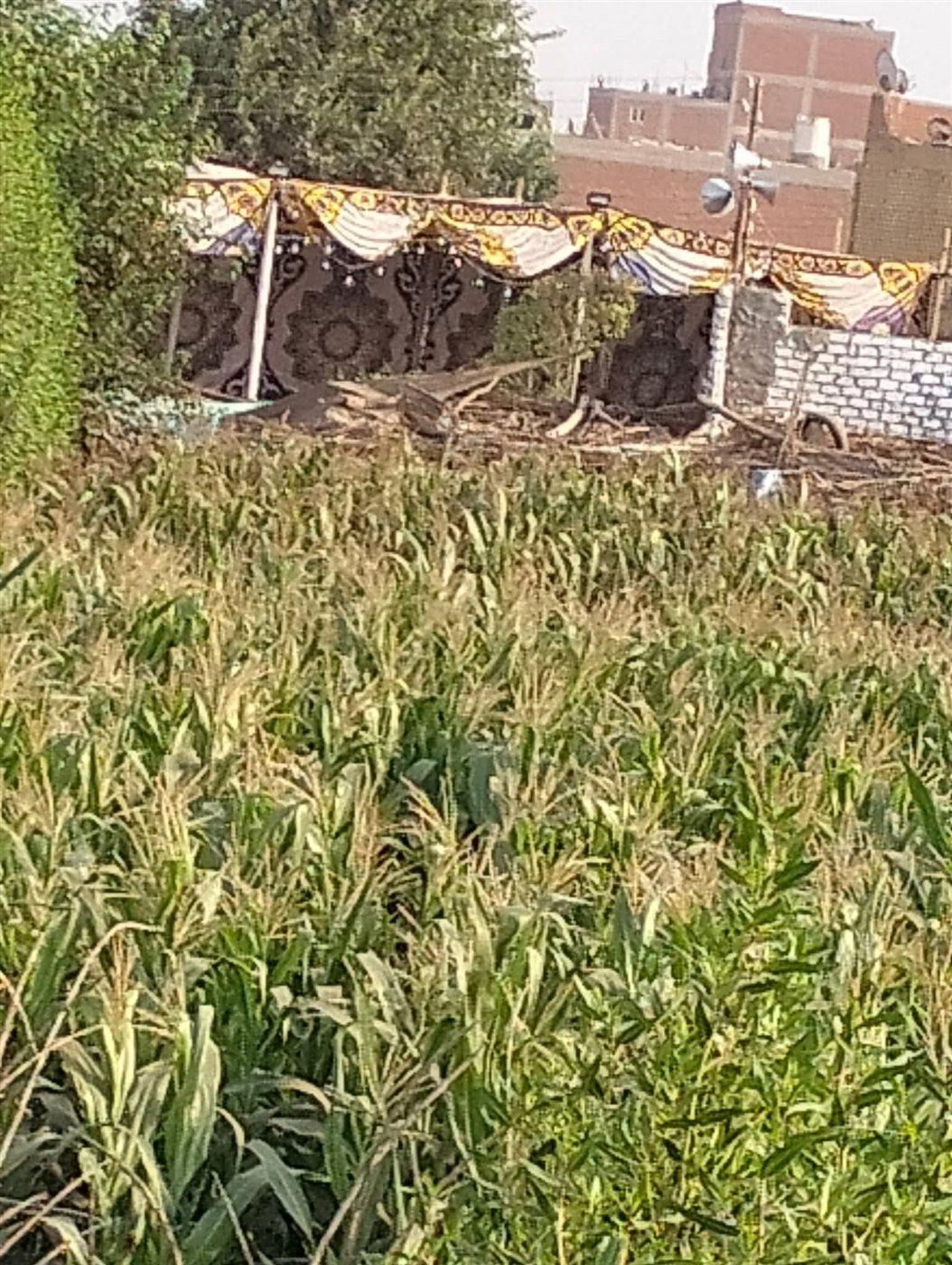 صوان عزاء رحمة