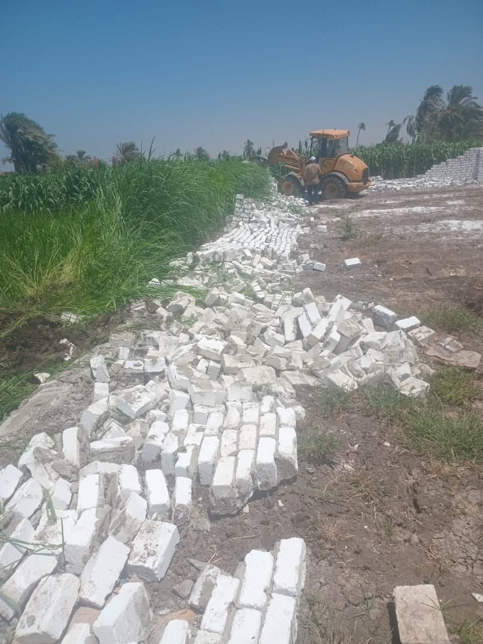 FB_IMG_1754826117830