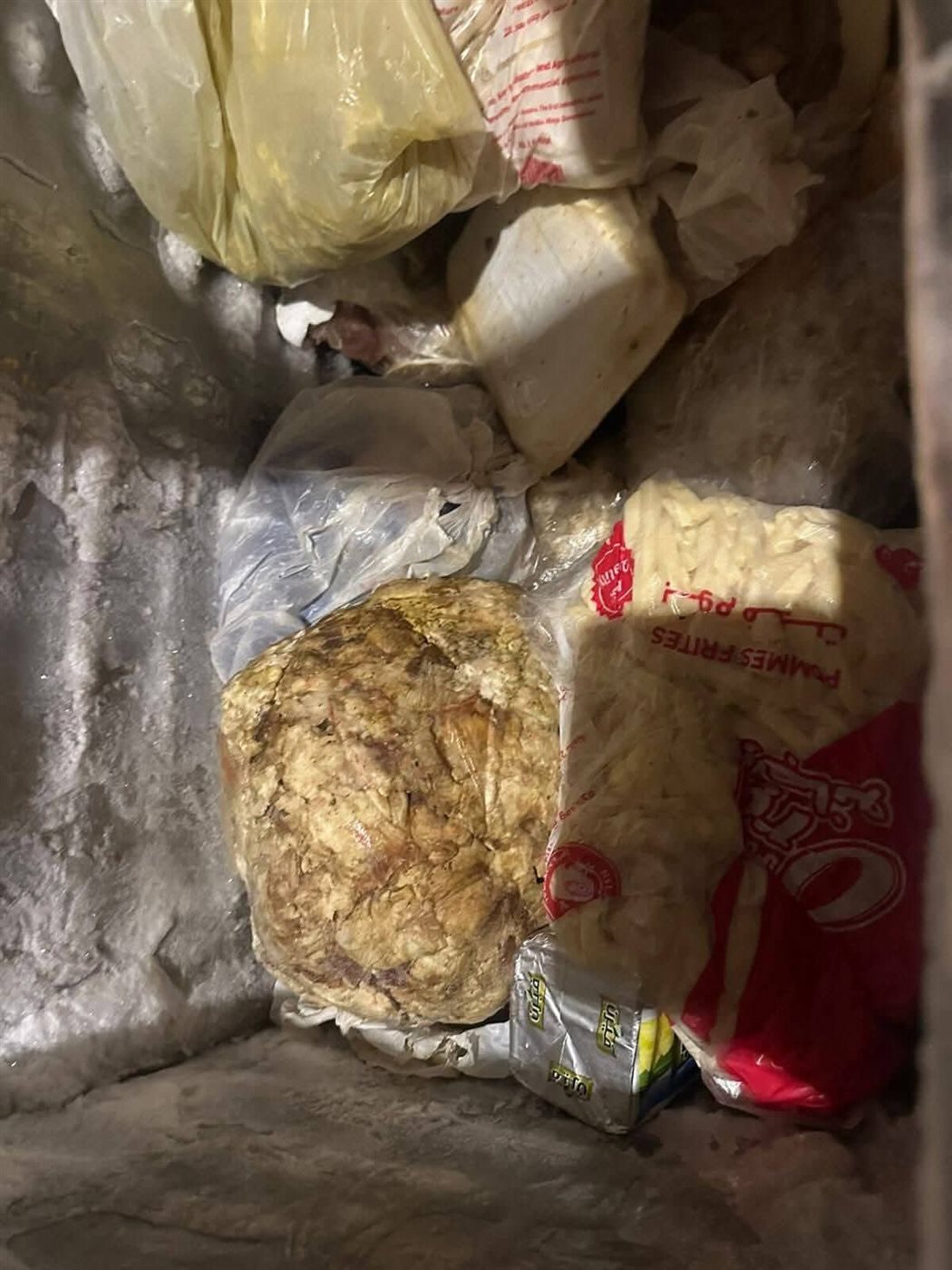 FB_IMG_1756297679638