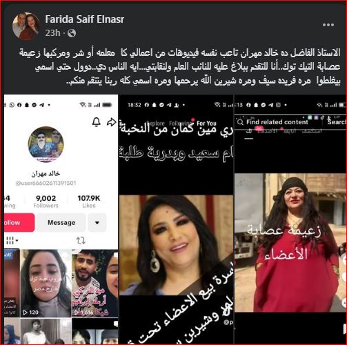 فريدة سيف النصر