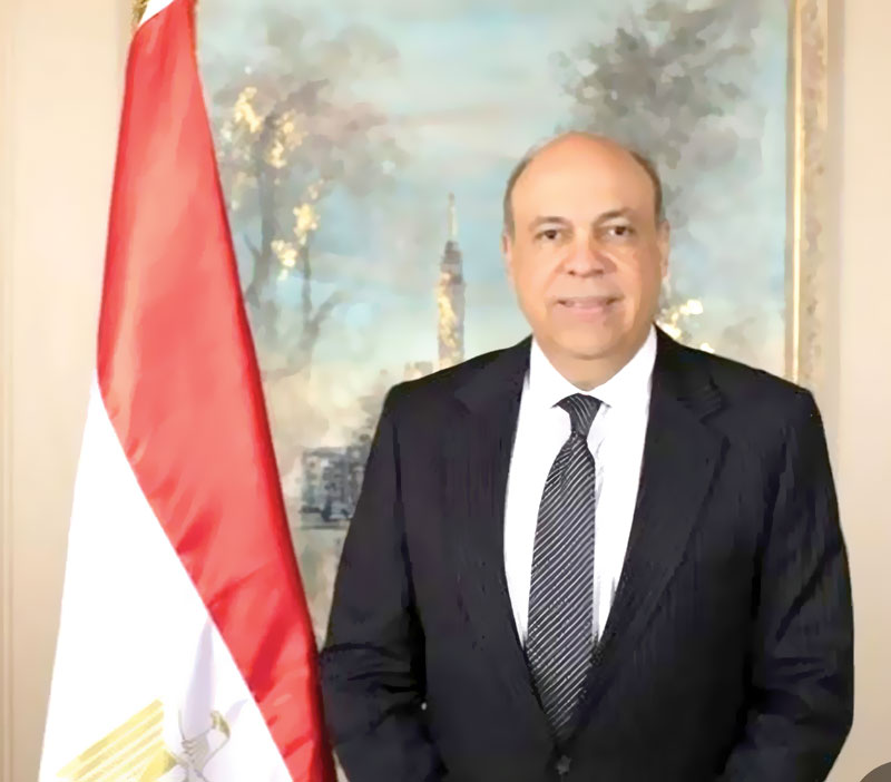 سامح الحفنى
