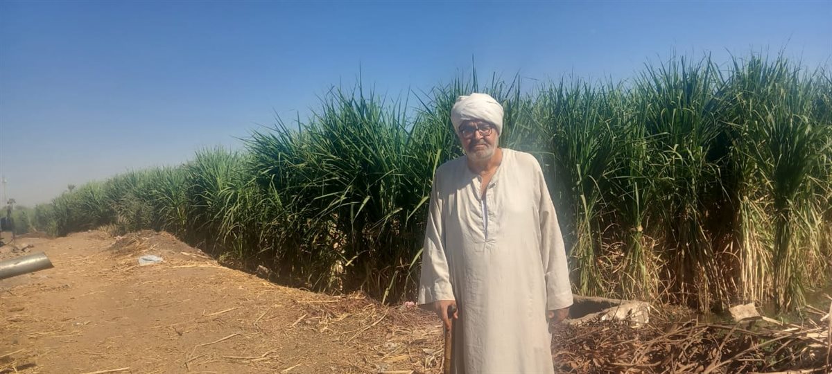شكرى القوطلى