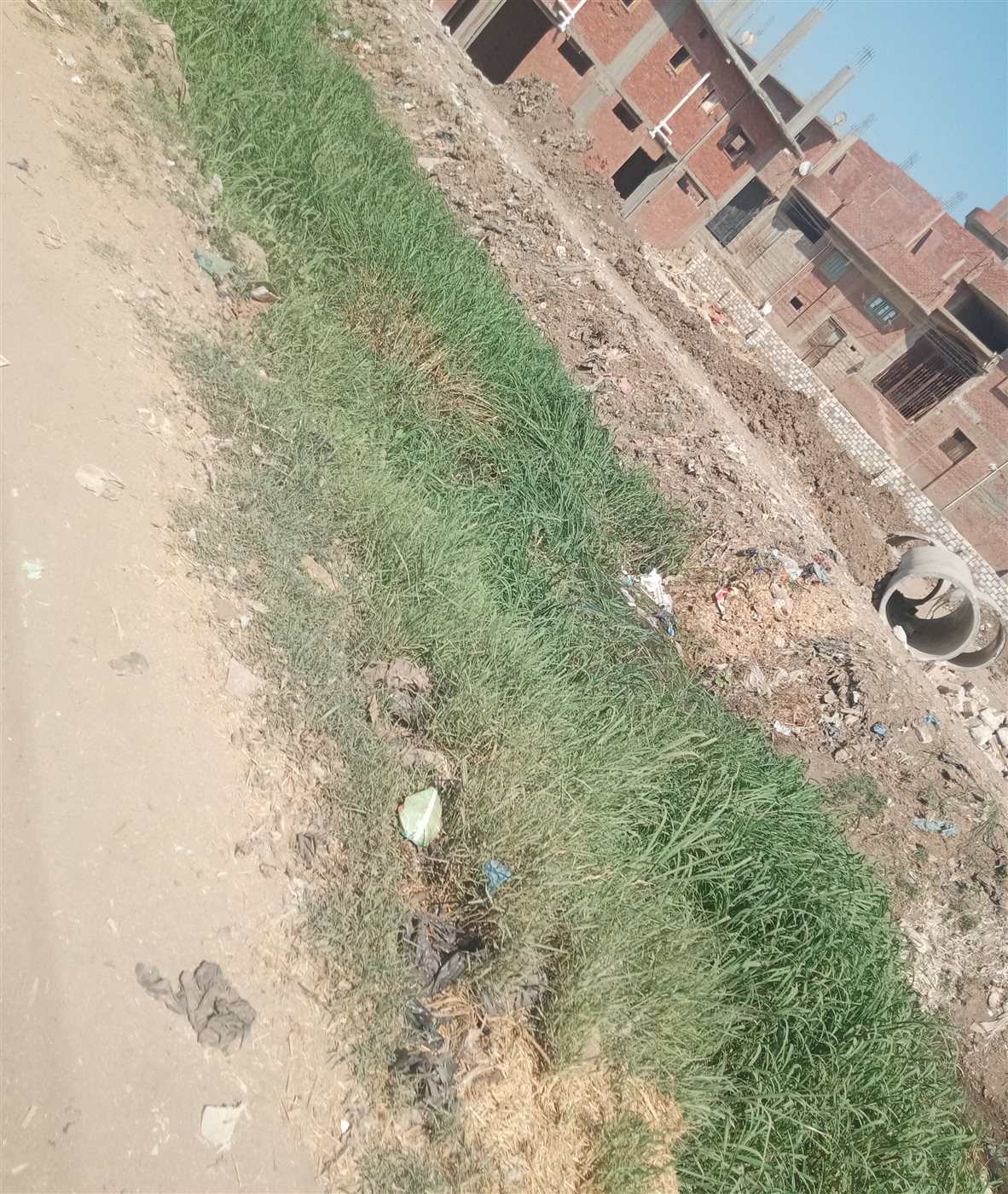 IMG_٢٠٢٥٠٩١١_١٢٤٠٤٢