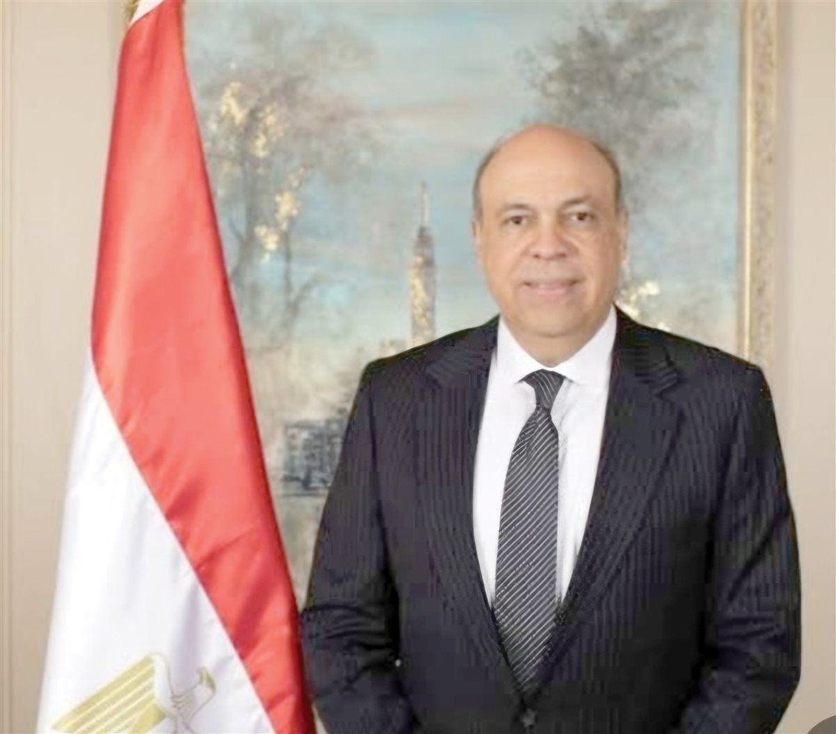 سامح الحفنى