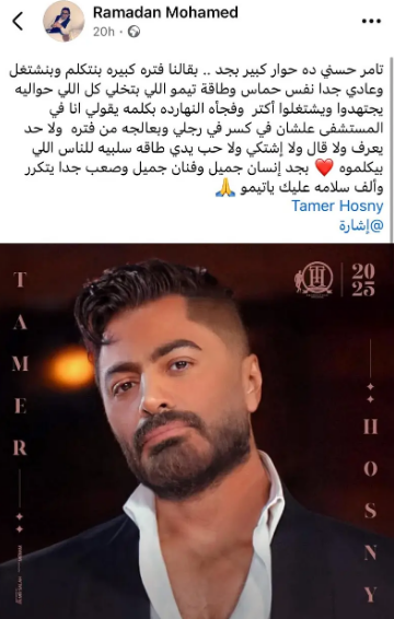 تامر حسني
