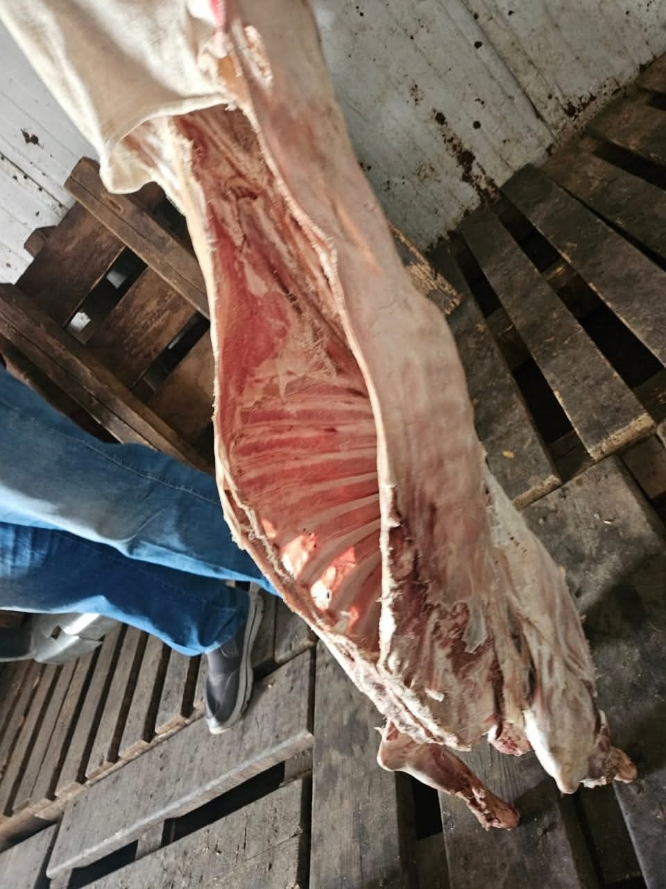 FB_IMG_1758372325796