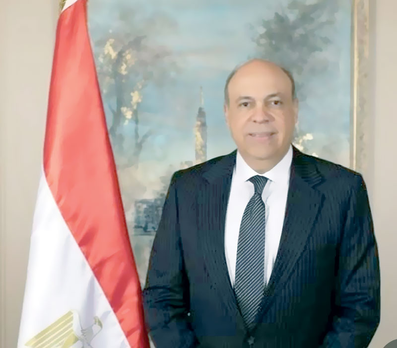 سامح الحفنى