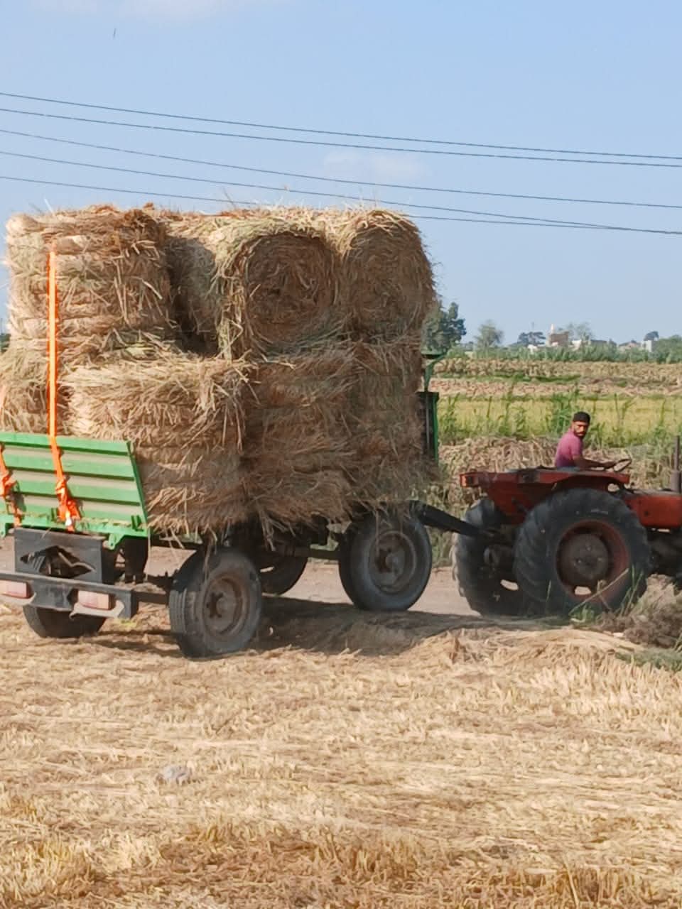 FB_IMG_1758802783853