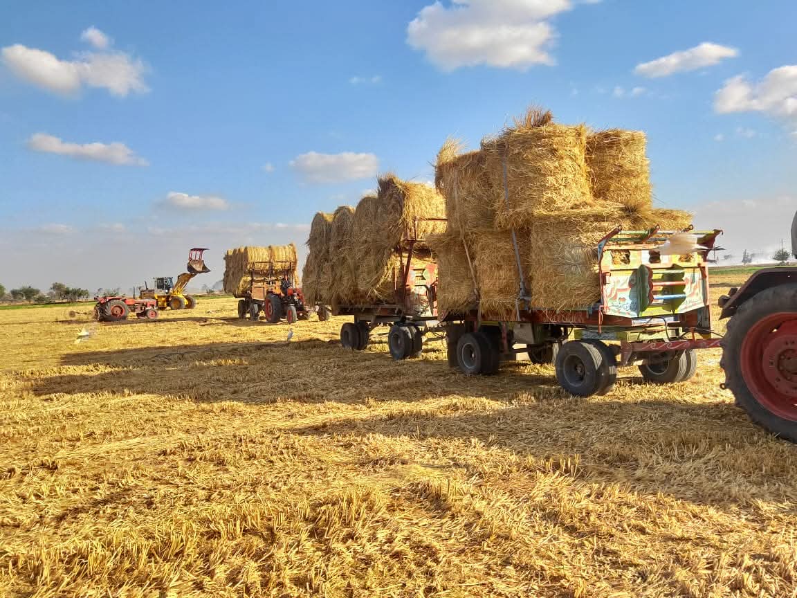 FB_IMG_1758802781060