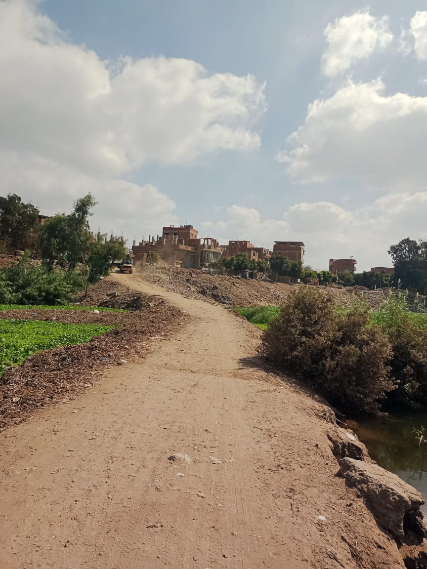 جزيرة داوود 