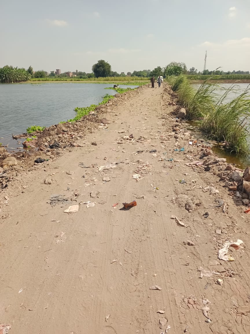 جزيرة داوود بالمنوفية 