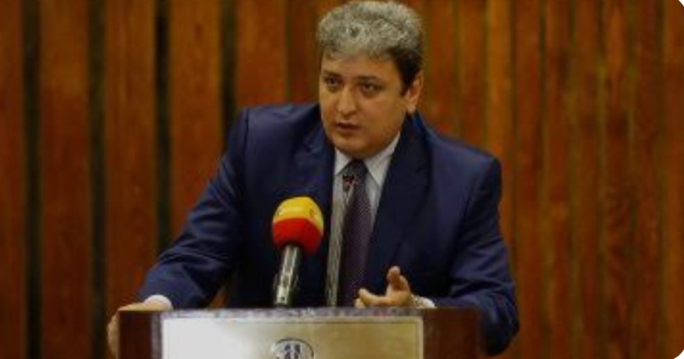 علاء شلبي رئيس المنظمة العربية لحقوق الإنسان