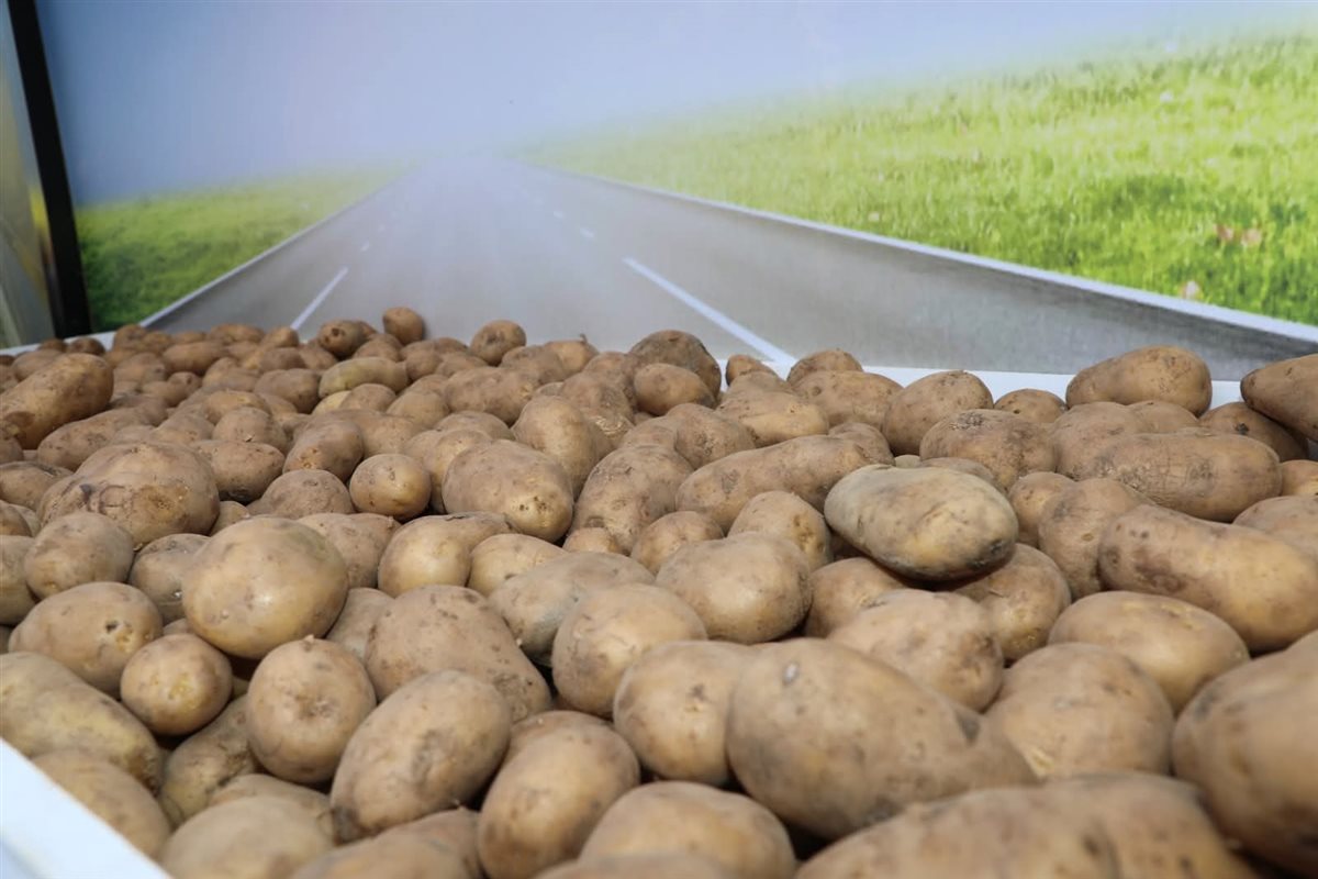 FB_IMG_1759058759714