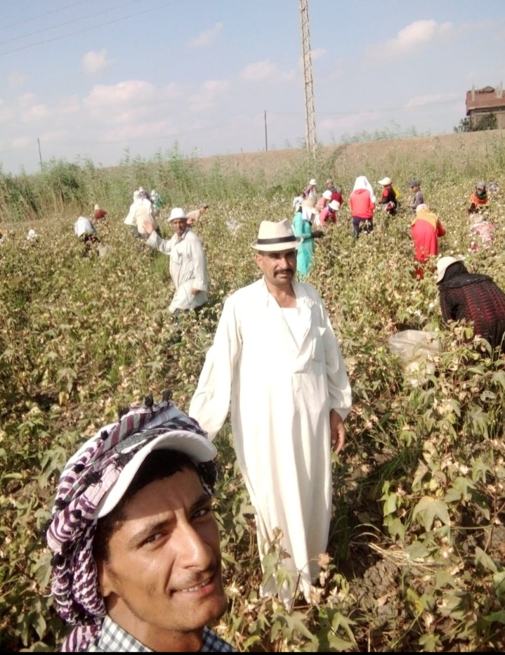 IMG_٢٠٢٥١٠٠٥_٢٣٣١٢٨