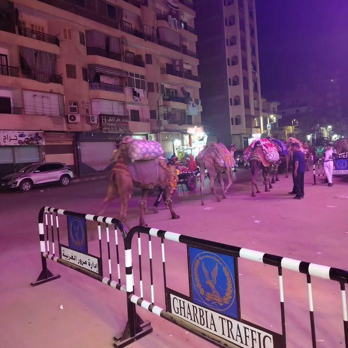 الجمال