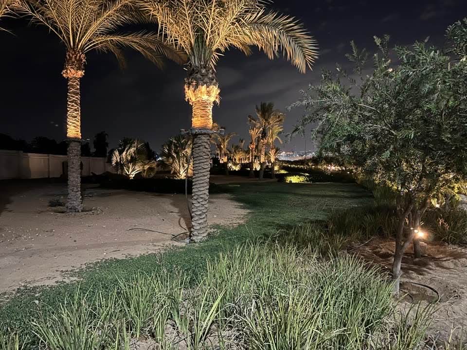 استعدادات المتحف المصري الكبير 