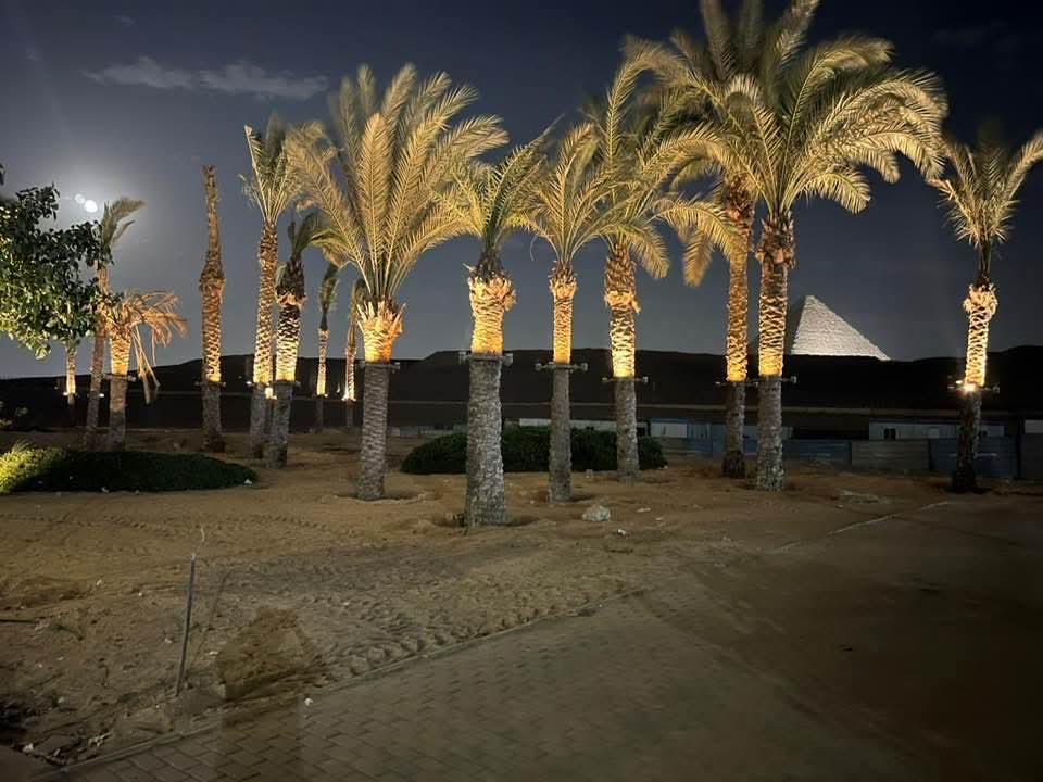 استعدادات المتحف المصري الكبير 