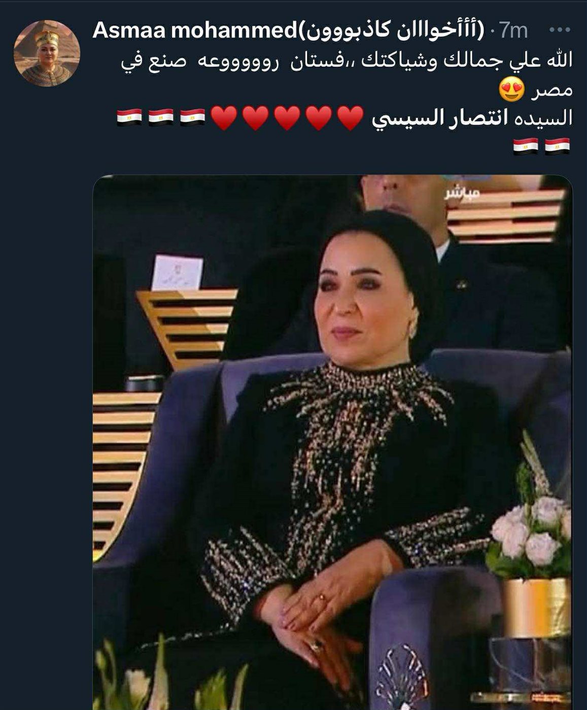  السيدة انتصار السيسي