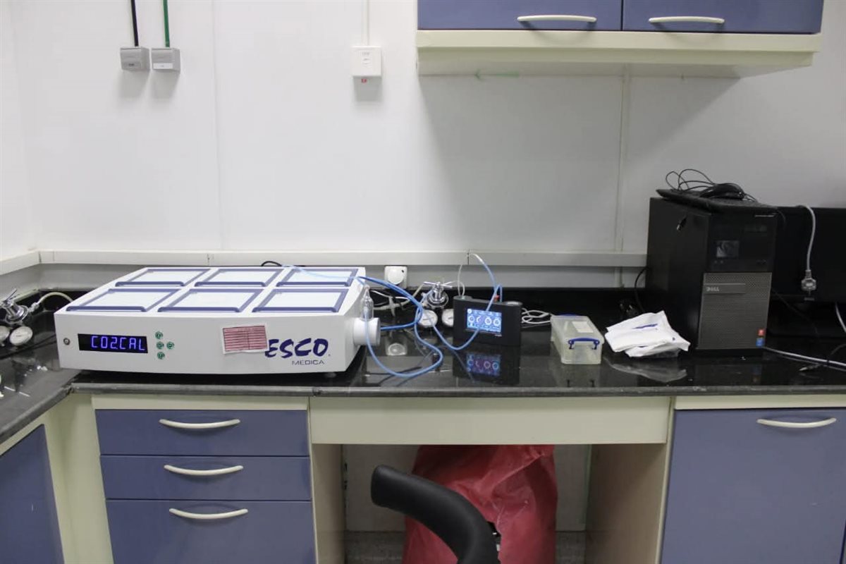 FB_IMG_1762086294246