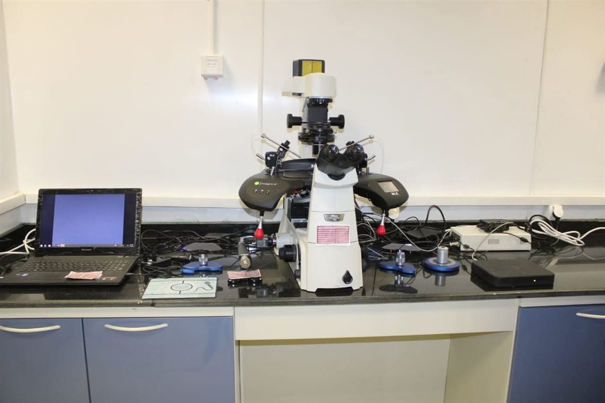 FB_IMG_1762086296861