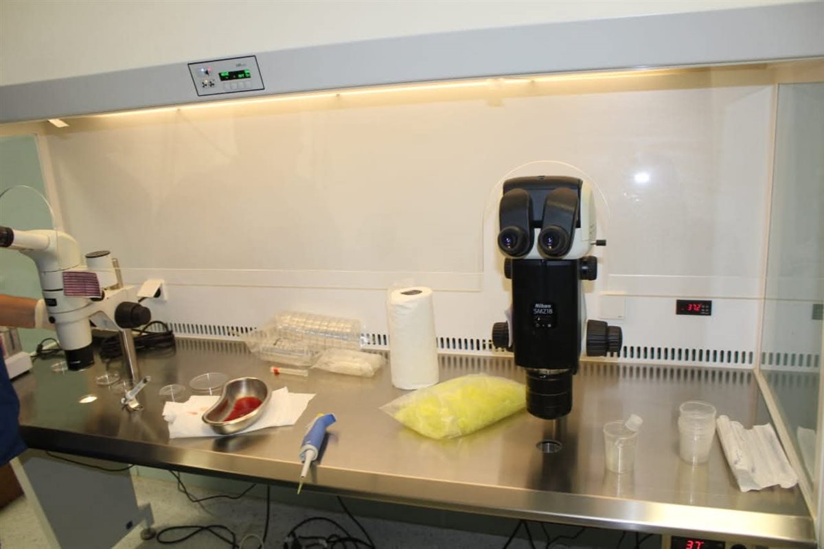 FB_IMG_1762086288792