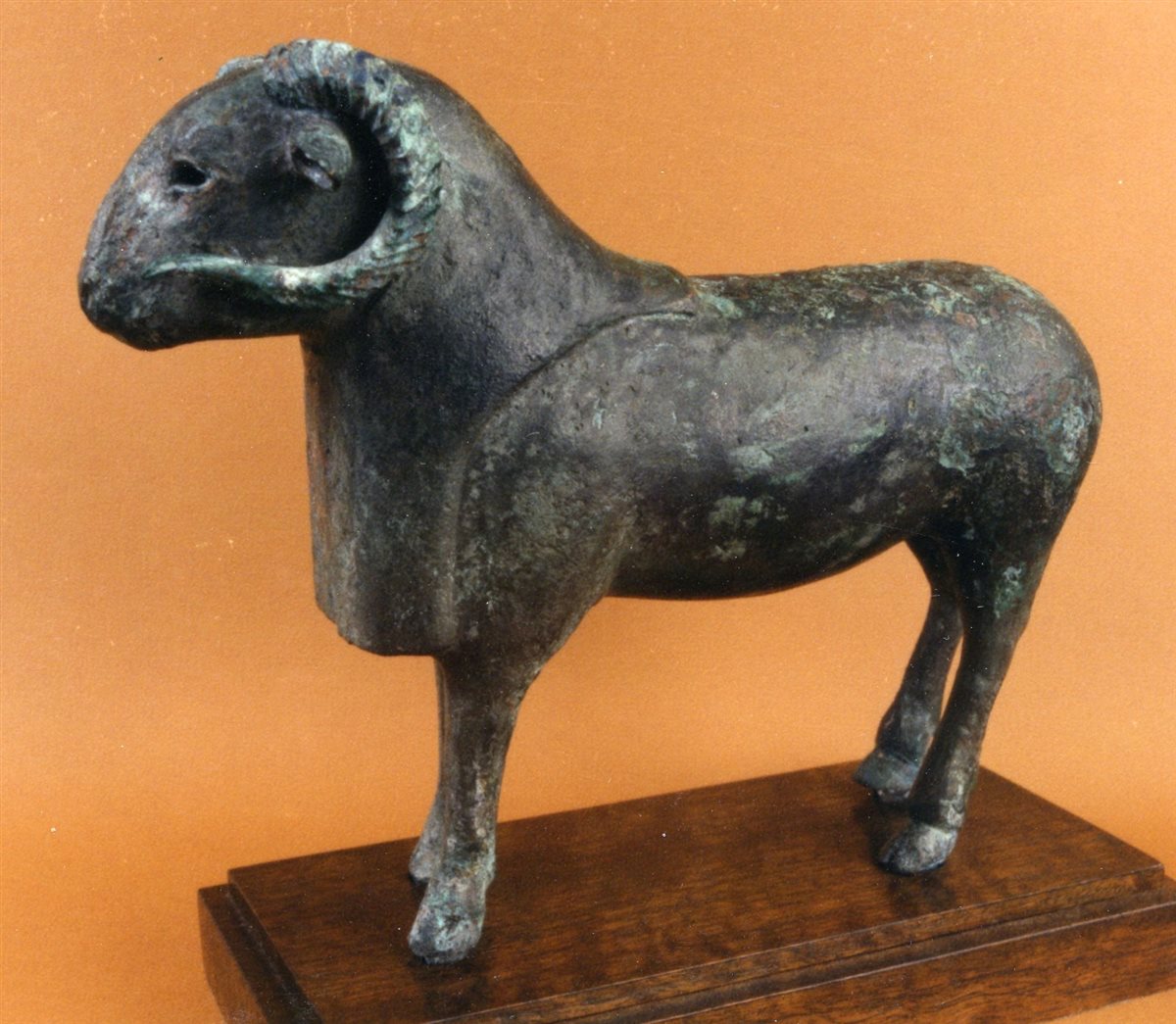 d555e445-62c8-40f6-a05f-bcb6d87fb617