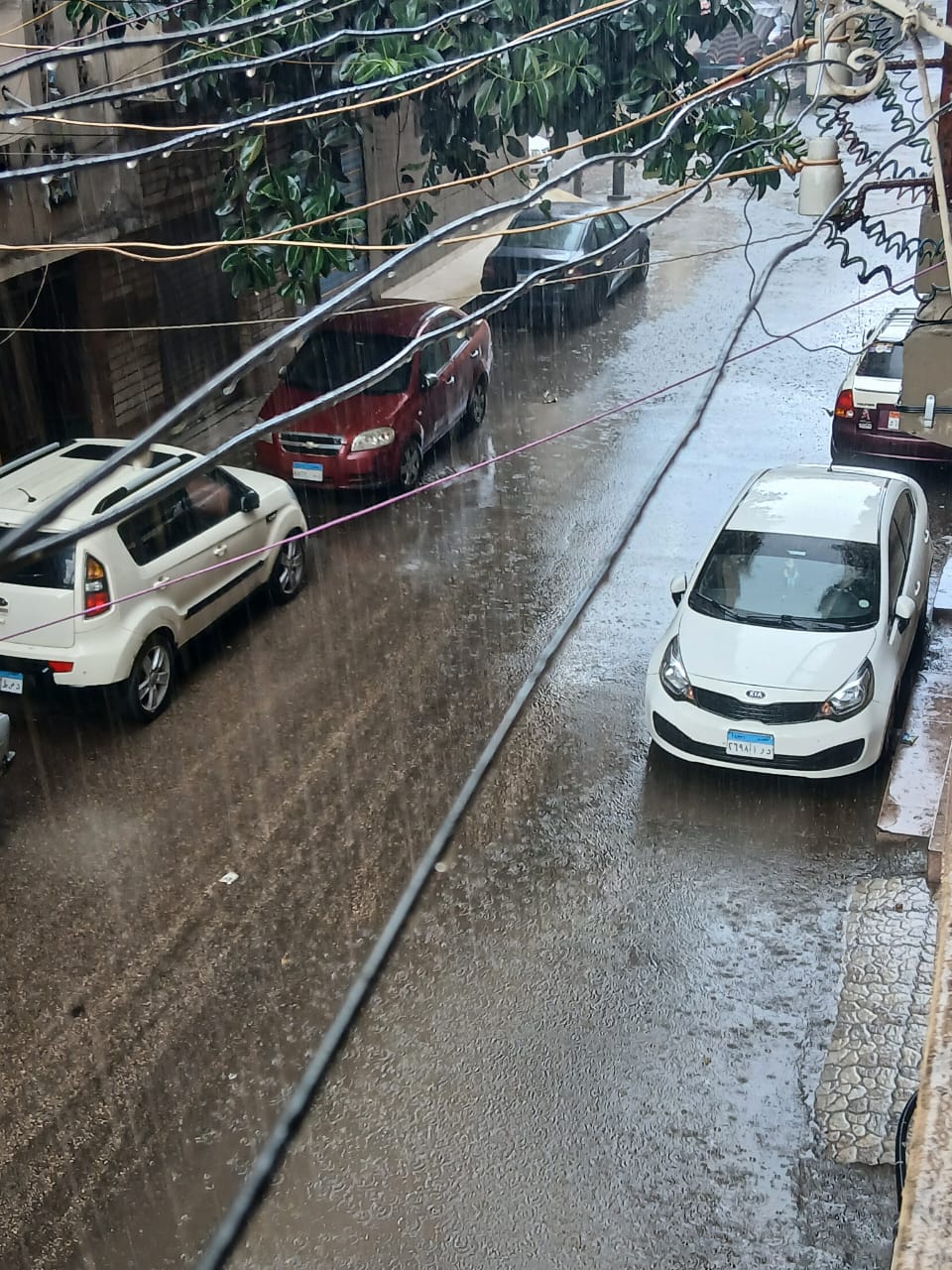 أمطار الدقهلية