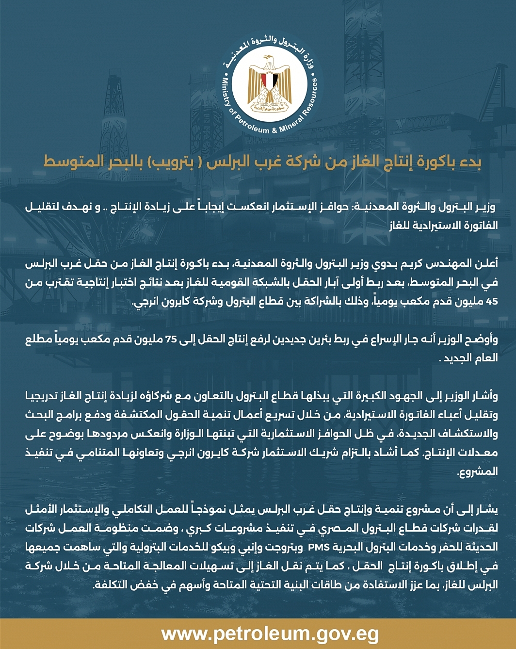 وزارة البترول والثروة المعدنية 