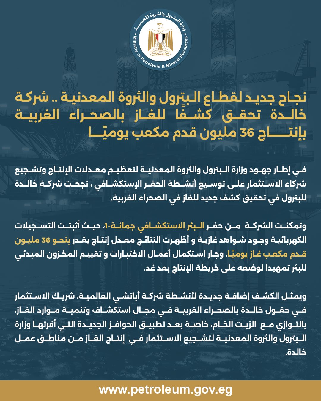 وزارة البترول والثروة المعدنية 