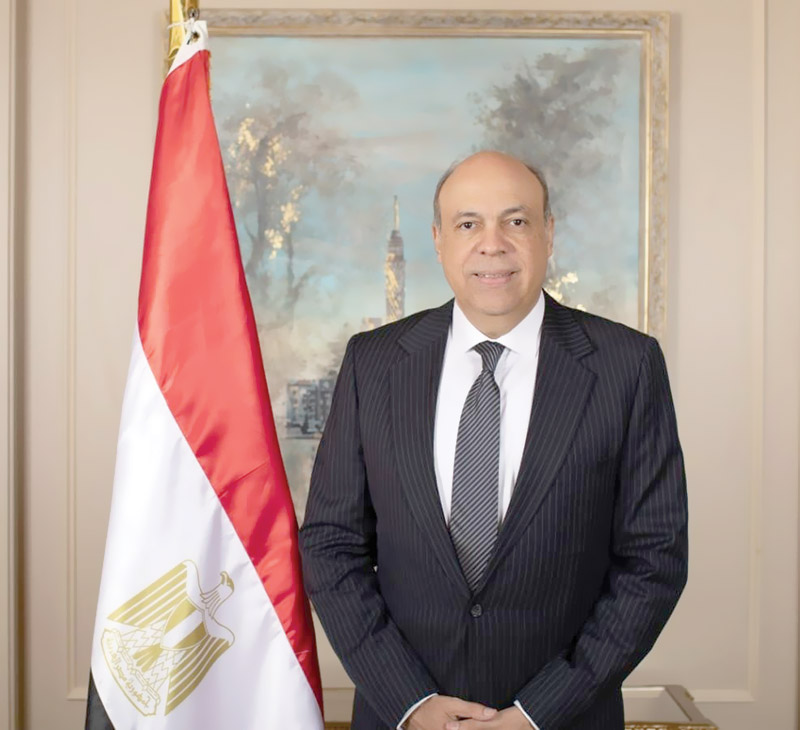 سامح الحفنى