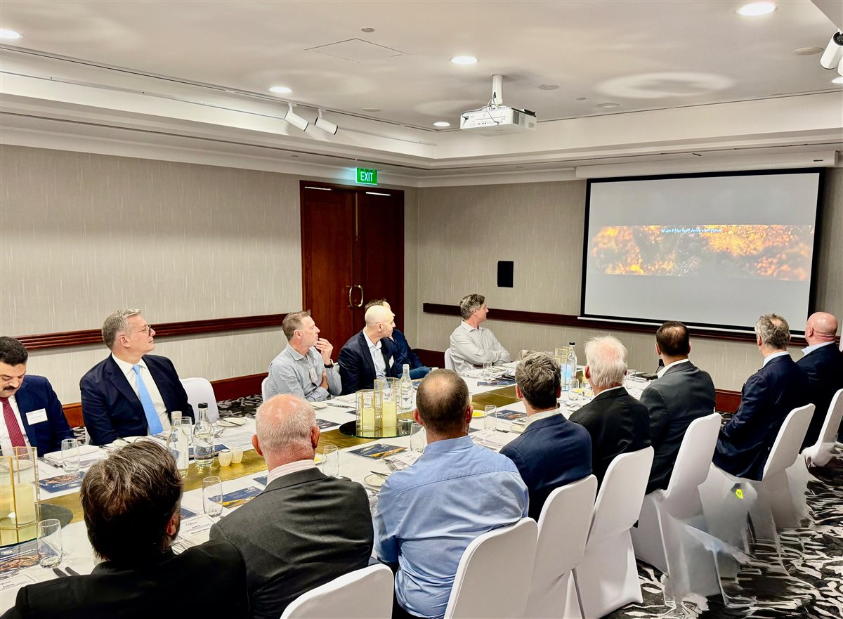 وزير البترول والثروة المعدنية