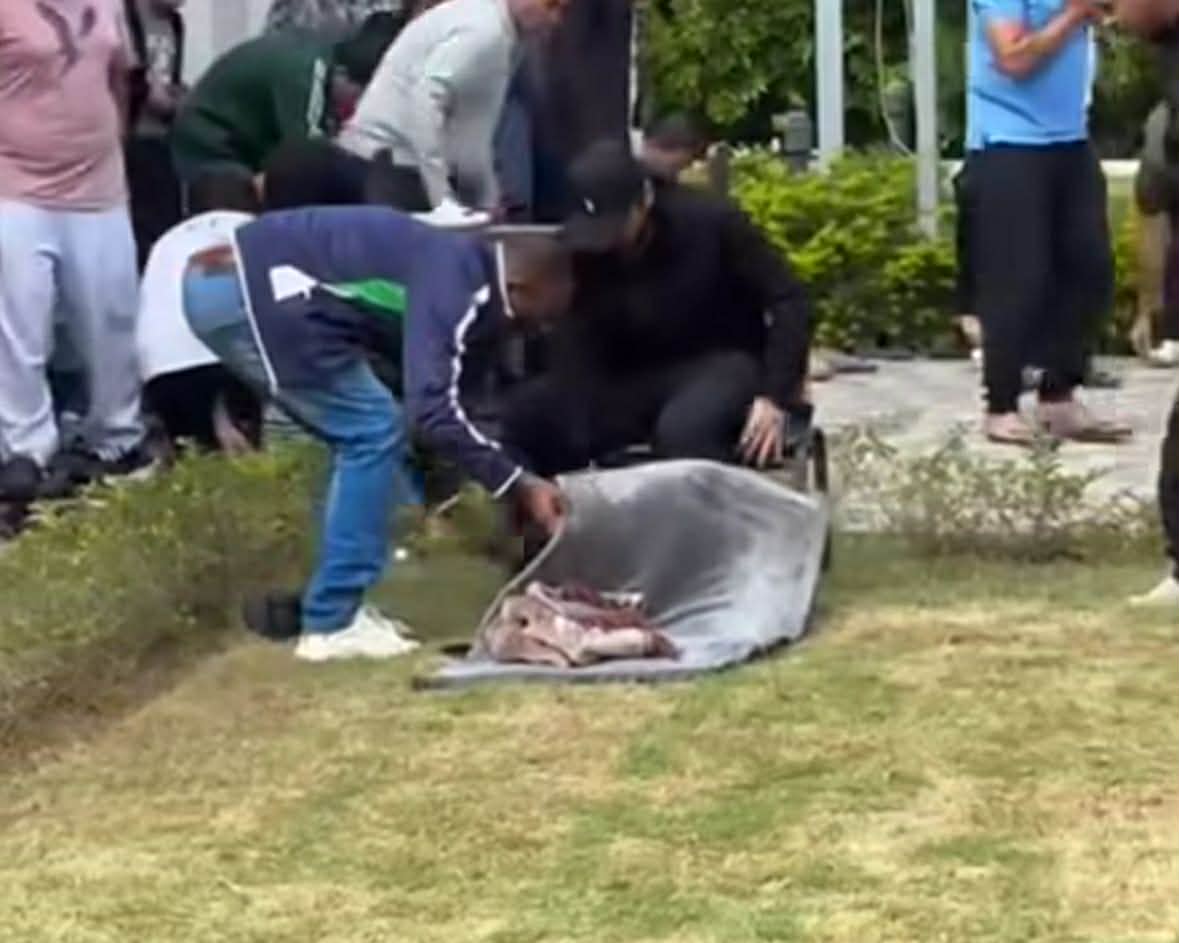 أول ظهور لتامر حسني