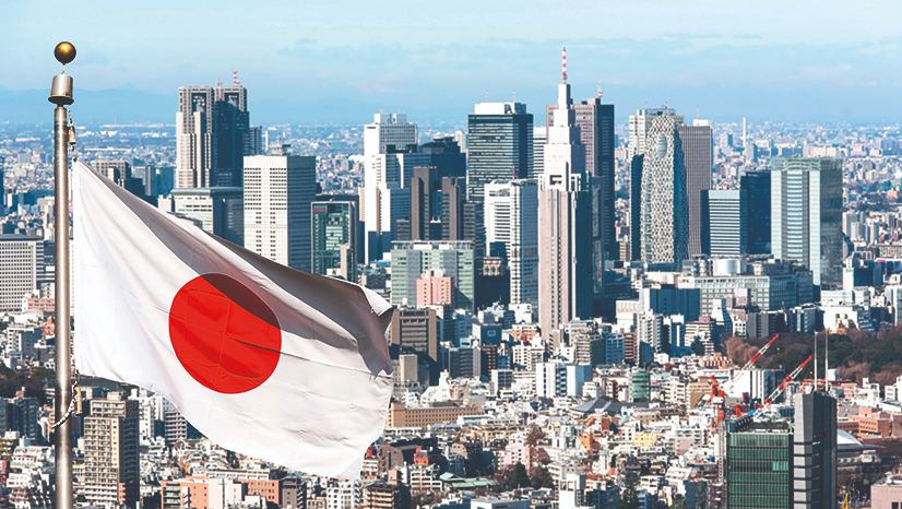 الحكومة في اليابان