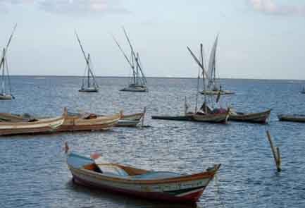 <strong>بحيرة البرلس</strong>