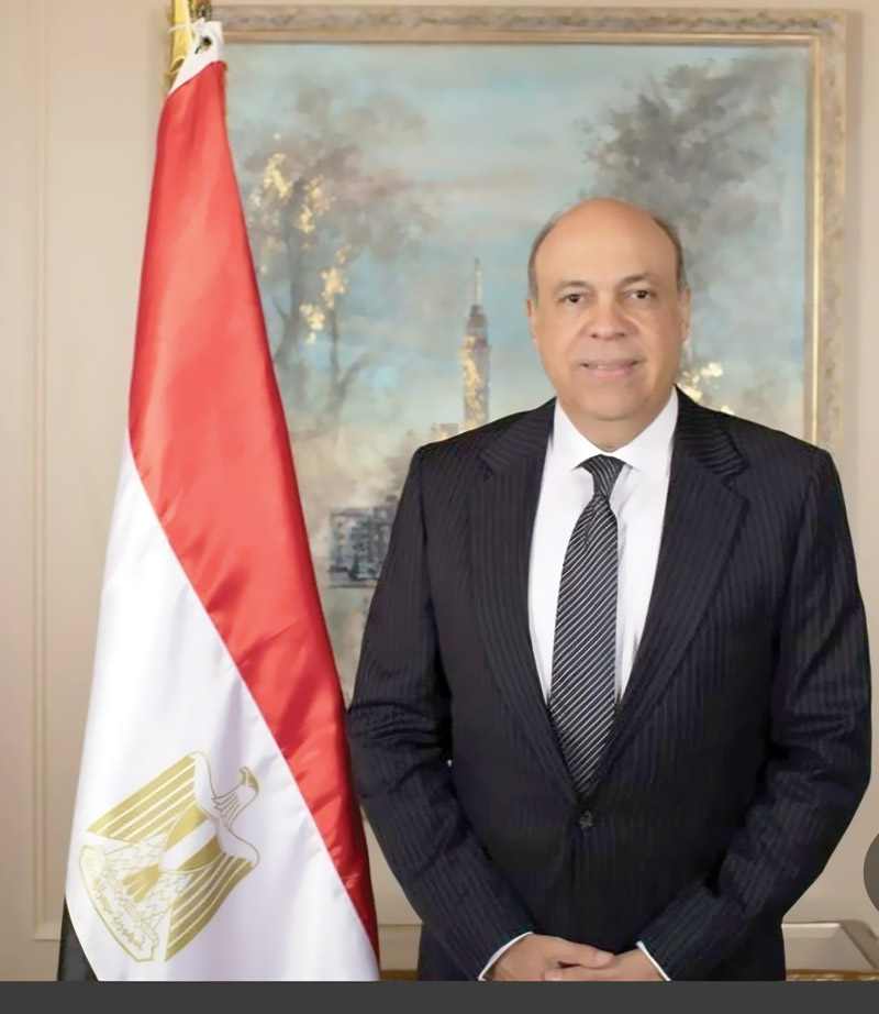 سامح الحفنى