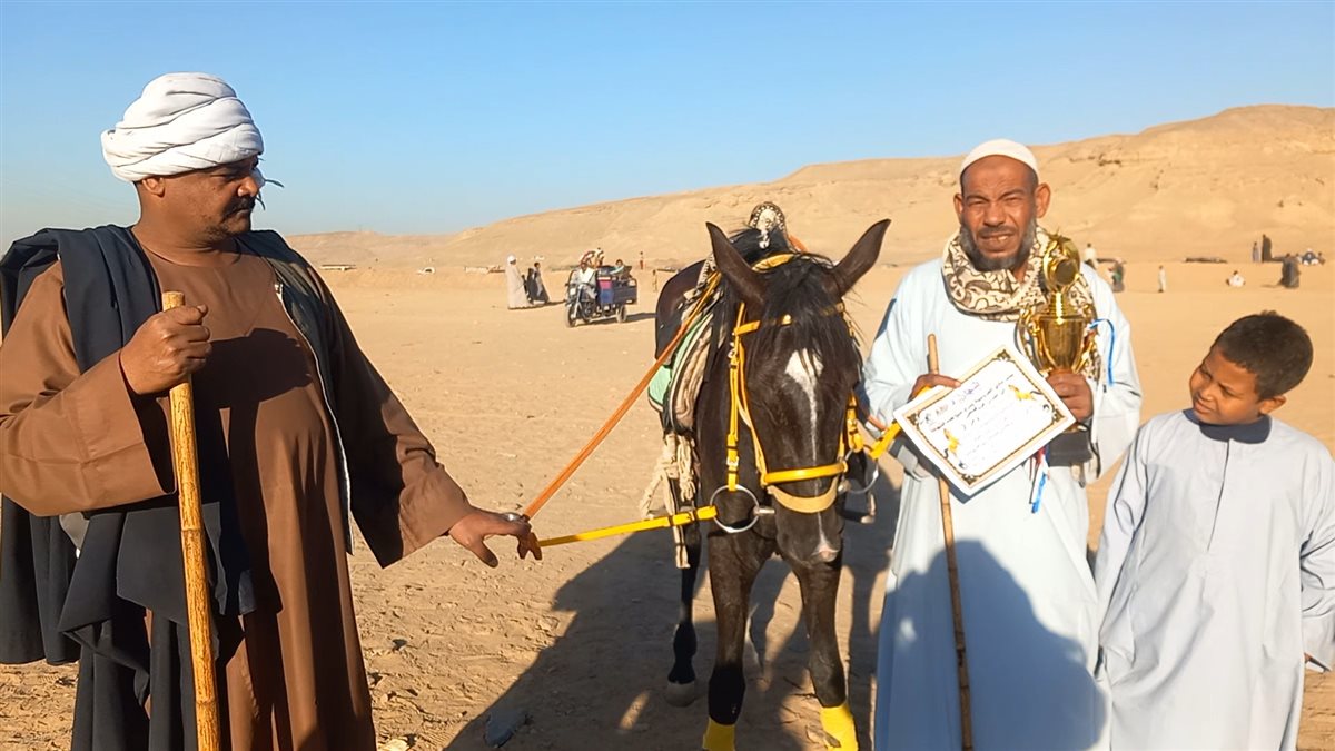 الفارس حمدان ابو عليان من العتمور مستجد والجواد ورد نجم