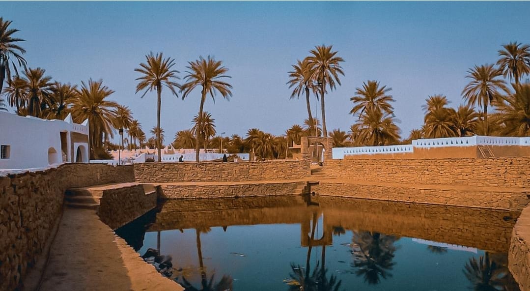 WhatsApp Image 2025-12-16 at 12.46.45 PM (2)