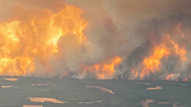 <strong>حرائق الغابات في أستراليا وكندا</strong>