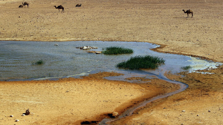 <strong>جفاف شرق أفريقيا</strong>