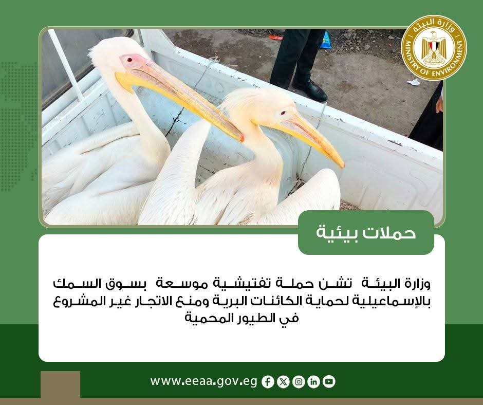 da3300d2-128c-4287-953a-95fea1ab988c