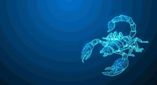 توقعات برج العقرب 2026