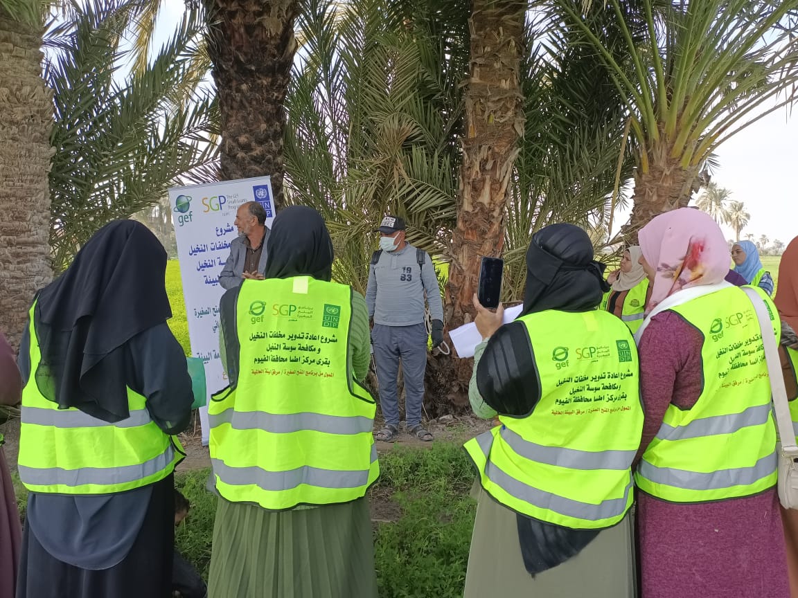 دورة تدريبية فى الارض الزراعية