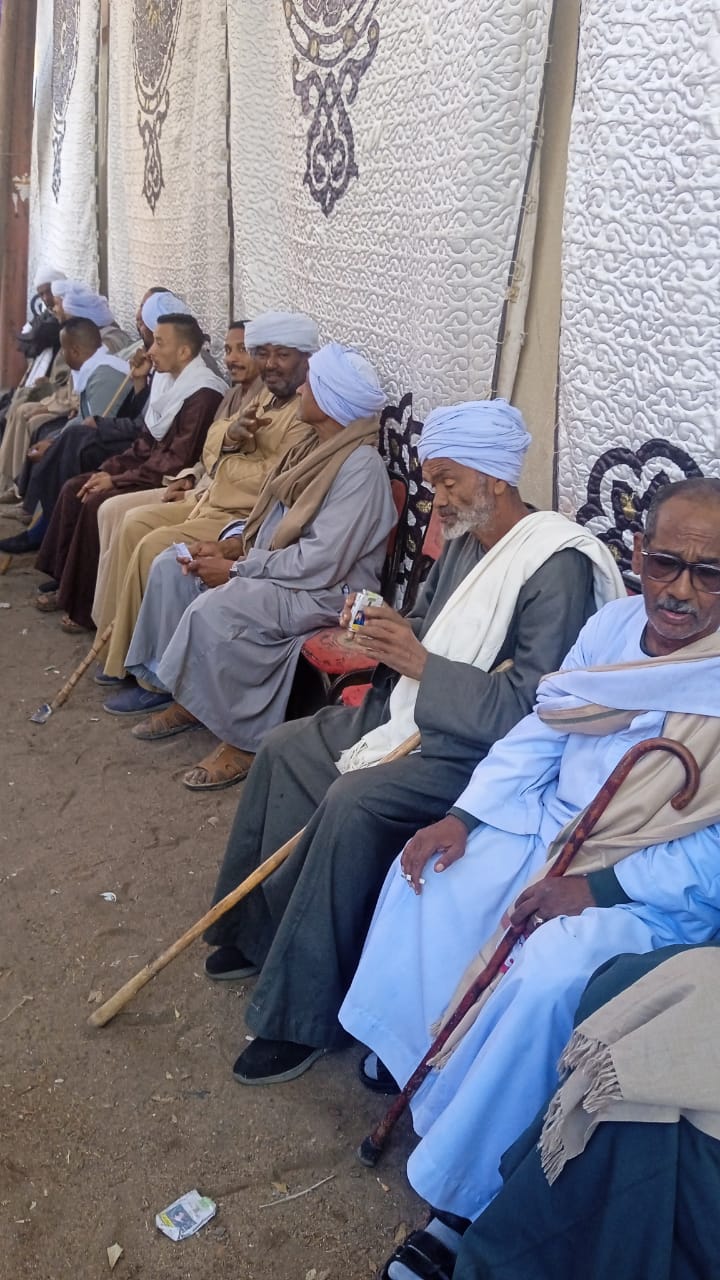 لجنة المنصورية بمركز دراو باسوان